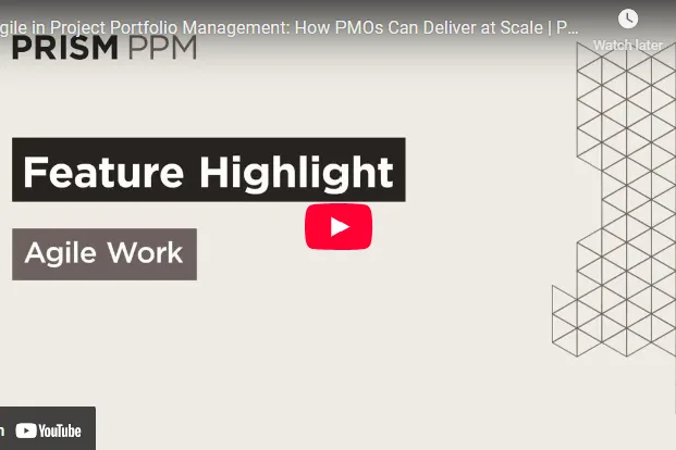 Agile Work in project management