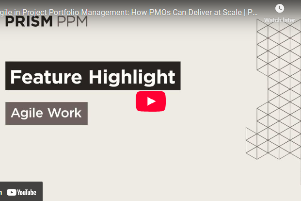 Agile Work in project management