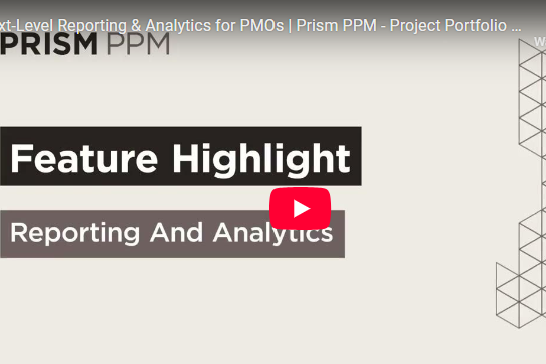 Reporting and Analytics with Prism PPM